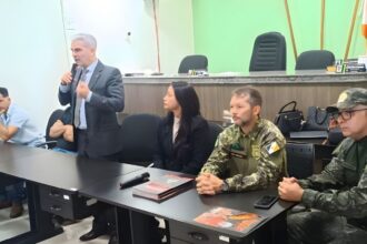 ministerio-publico-do-tocantins-atua-para-frear-desmatamento-e-regularizar-producao-em-assentamentos-de-carmolandia