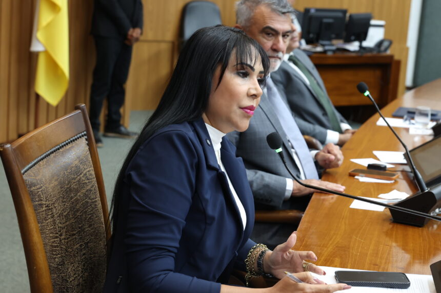 deputada-janad-valcari-solicita-contratacao-urgente-de-peritos-para-o-detran-do-tocantins