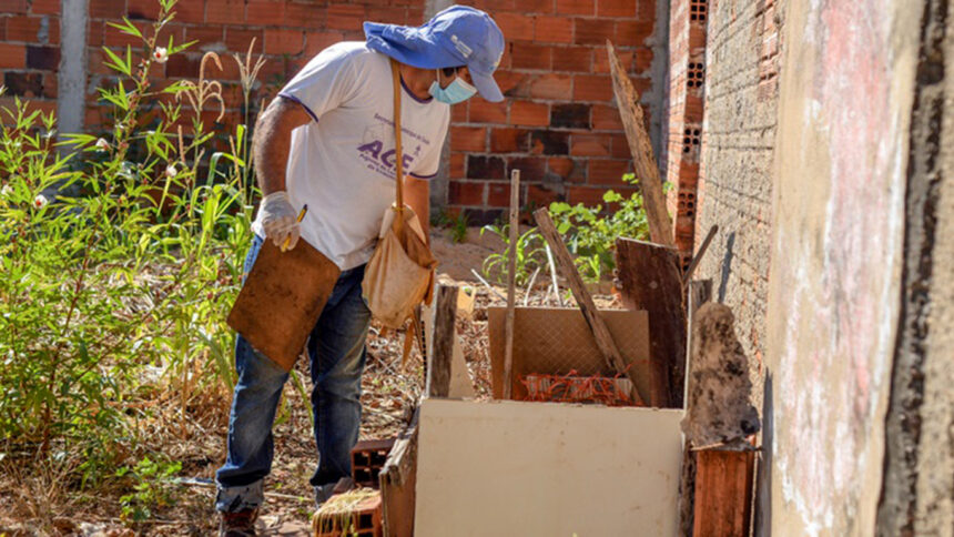 em-palmas,-quase-80%-dos-focos-do-aedes-aegypti-estao-dentro-das-residencias