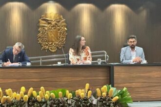 cop30:-reducao-de-emissoes-de-metano-e-crucial-e-urgente-para-limitar-aquecimento-global