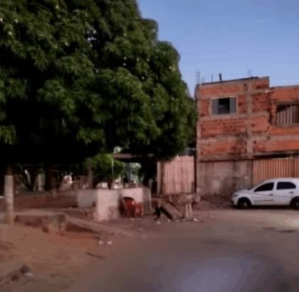 discussao-termina-em-assassinato-a-facadas-em-distribuidora-do-sul-de-palmas