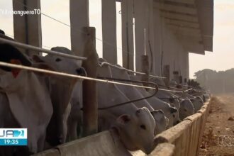 videos:-jornal-anhanguera-2a-edicao-to-de-sabado,-15-de-novembro-de-2025