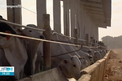 videos:-jornal-anhanguera-2a-edicao-to-de-sabado,-15-de-novembro-de-2025