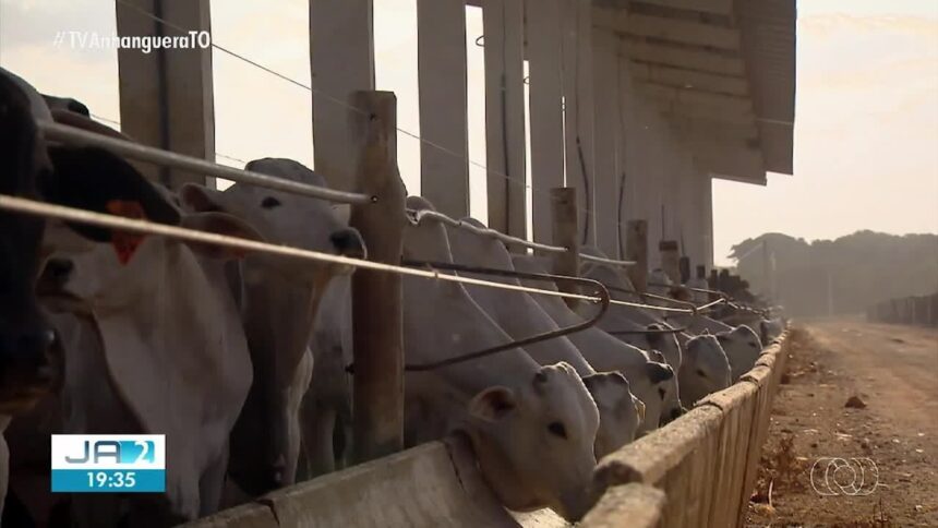 videos:-jornal-anhanguera-2a-edicao-to-de-sabado,-15-de-novembro-de-2025