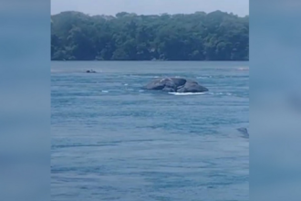 corpo-de-menino-de-12-anos-que-desapareceu-em-rio-e-encontrado-com-ajuda-de-drone