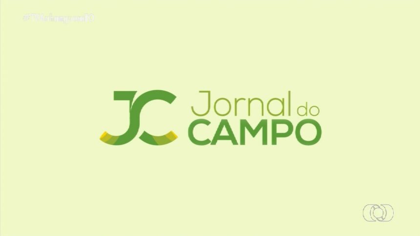 videos:-jornal-do-campos-deste-domingo,-16-de-novembro-de-2025