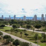 dia-nacional-da-consciencia-negra:-veja-o-que-abre-e-fecha-durante-o-feriado-em-palmas