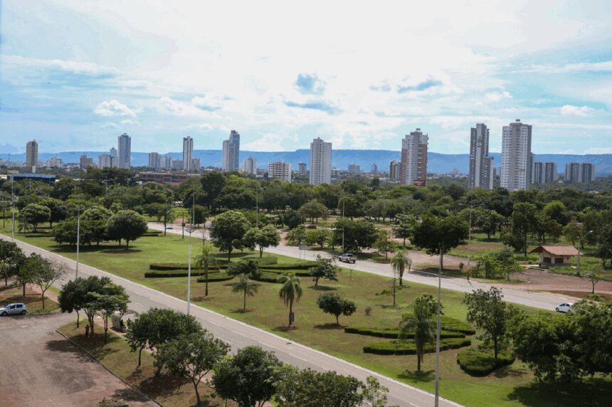 dia-nacional-da-consciencia-negra:-veja-o-que-abre-e-fecha-durante-o-feriado-em-palmas