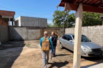 tocantins-diminui-incidencia-de-dengue,-chikungunya-e-zika,-mas-reforca-acoes-de-prevencao