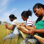 tocantins-realiza-1o-encontro-de-construcao-da-igualdade-racial