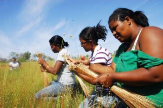 tocantins-realiza-1o-encontro-de-construcao-da-igualdade-racial