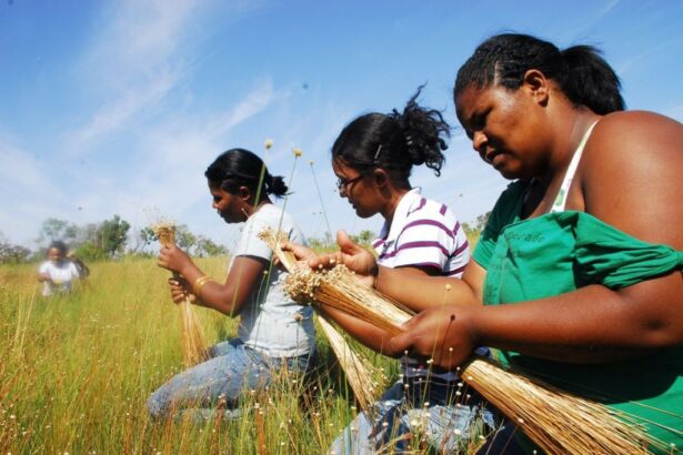 tocantins-realiza-1o-encontro-de-construcao-da-igualdade-racial