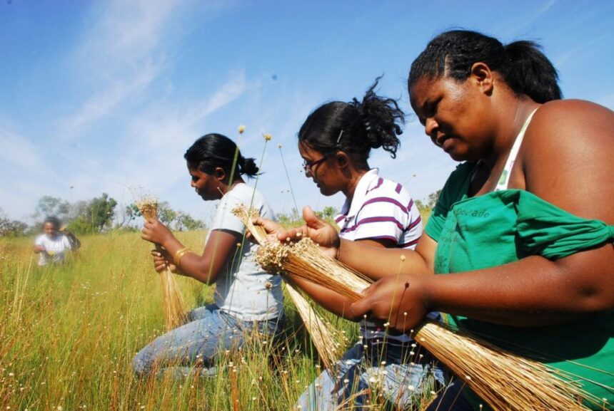 tocantins-realiza-1o-encontro-de-construcao-da-igualdade-racial