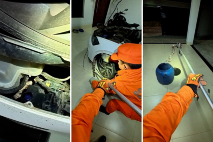 bombeiros-resgatam-jiboia-escondida-em-motor-de-carro-estacionado-na-garagem-de-casa