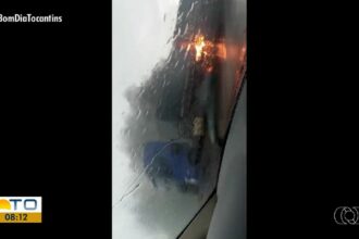 videos:-bom-dia-tocantins-de-segunda-feira,-24-de-novembro-de-2025