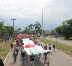 mobilizacao-de-educadores-paralisa-90%-das-escolas-em-palmas;-veja-o-que-diz-a-prefeitura