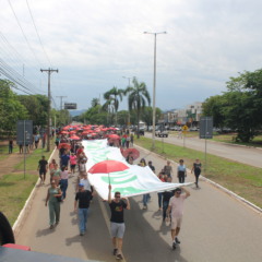 mobilizacao-de-educadores-paralisa-90%-das-escolas-em-palmas;-veja-o-que-diz-a-prefeitura