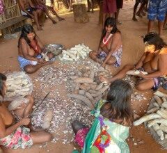 da-aldeia-para-o-mundo:-kraholandia-lanca-projetos-que-preservam-saberes-indigenas