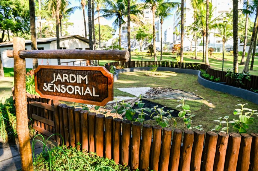 ta-na-conta:-clinica-escola-mundo-autista-tera-jardim-sensorial-com-emenda-de-marcus-marcelo