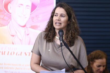 comissao-debate-plano-nacional-de-cultura-e-os-direitos-culturais-do-povo-brasileiro