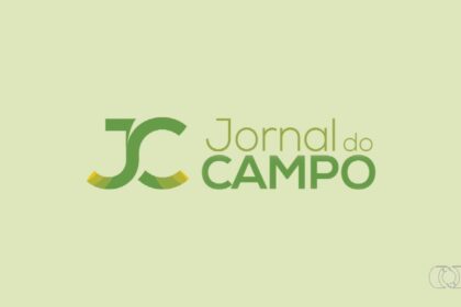 videos:-jornal-do-campo-to-de-domingo,-30-de-novembro-de-2025