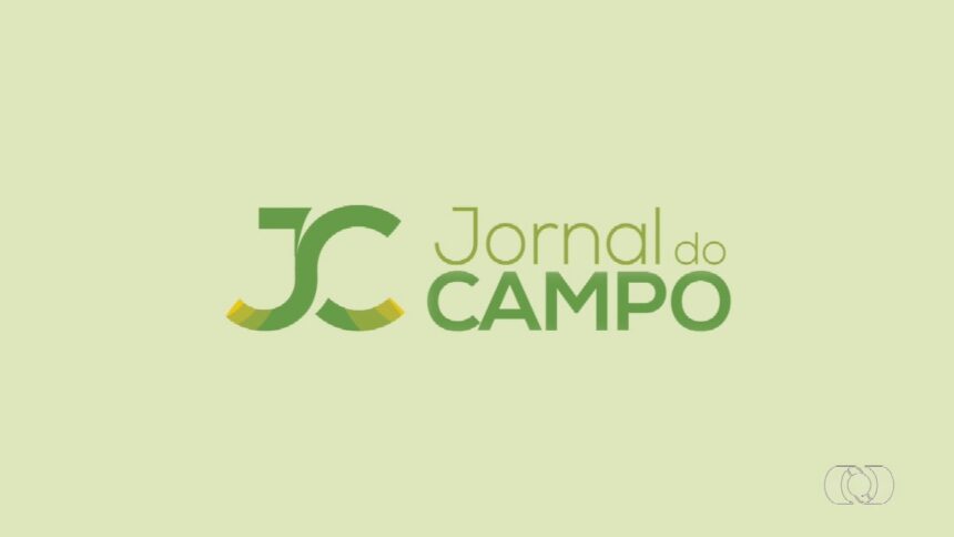videos:-jornal-do-campo-to-de-domingo,-30-de-novembro-de-2025