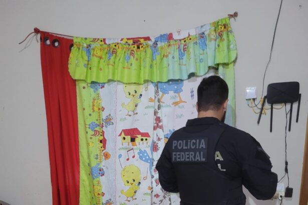 pf-investiga-crimes-de-exploracao-sexual-contra-criancas-e-adolescentes-no-tocantins