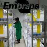 entra-em-vigor-lei-que-garante-isencao-de-taxas-para-embrapa