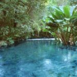 justica-manda-recuperar-areas-degradadas-do-menor-rio-do-brasil