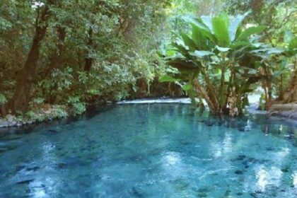 justica-manda-recuperar-areas-degradadas-do-menor-rio-do-brasil