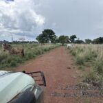 fazendeiro-recebe-multa-de-r$-1,6-milhao-por-desmatamento-ilegal-em-area-de-reserva-legal