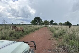 fazendeiro-recebe-multa-de-r$-1,6-milhao-por-desmatamento-ilegal-em-area-de-reserva-legal