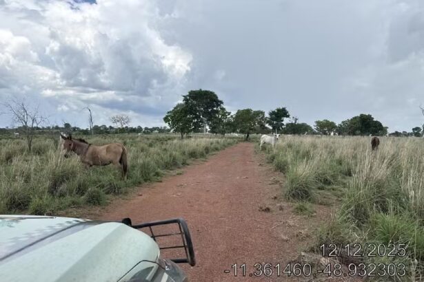 fazendeiro-recebe-multa-de-r$-1,6-milhao-por-desmatamento-ilegal-em-area-de-reserva-legal