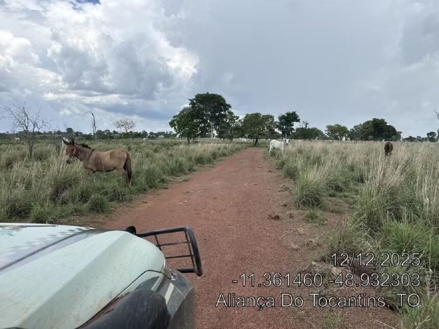 fazendeiro-recebe-multa-de-r$-1,6-milhao-por-desmatamento-ilegal-em-area-de-reserva-legal