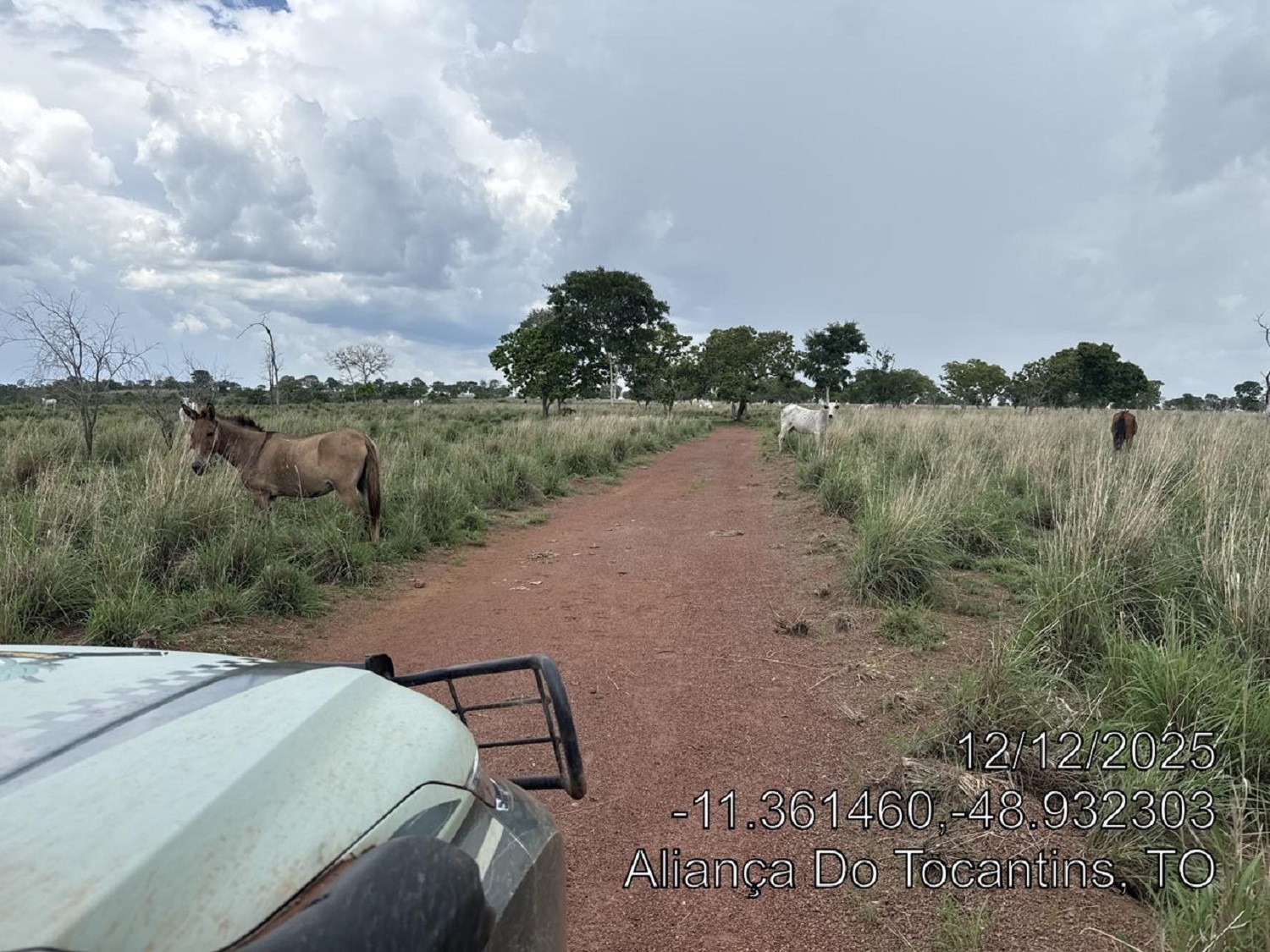 fazendeiro-e-multado-em-mais-de-r$-1,6-milhao-por-desmatar-area-de-reserva-legal-para-criar-gado