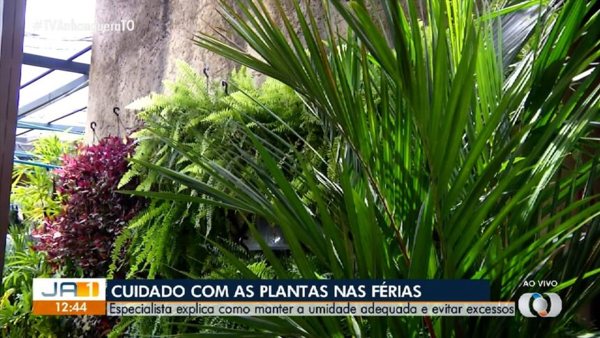 videos:-jornal-anhanguera-1a-edicao-–-to-de-segunda-feira,-15-de-dezembro-de-2025