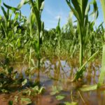 retrospectiva-2025:-aprovada-ampliacao-do-acesso-de-agricultores-familiares-ao-garantia-safra