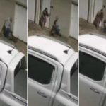 video:-ataque-de-pitbull-deixa-homem-gravemente-ferido-em-palmas