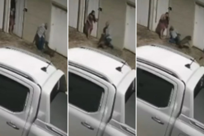 video:-ataque-de-pitbull-deixa-homem-gravemente-ferido-em-palmas