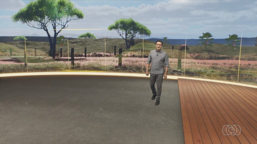 videos:-jornal-do-campo-–-to-de-domingo,-28-de-dezembro-de-2025