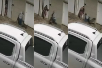 veja-o-que-se-sabe-sobre-ataque-de-pitbull-que-deixou-idoso-gravemente-ferido-em-palmas
