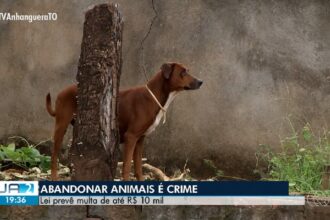 videos:-jornal-anhanguera-2a-edicao-–-to-de-segunda-feira,-29-de-dezembro-de-2025