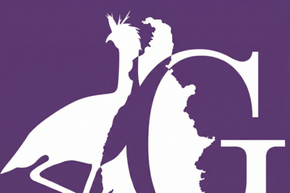 o-tocantins-nao-se-ganha-na-tela:-o-chamado-das-ruas-e-o-peso-do-concreto-para-2026