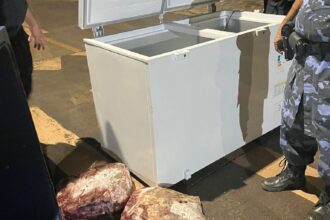 suspeitos-de-furtar-freezer-e-merenda-de-escola-em-palmas-sao-presos