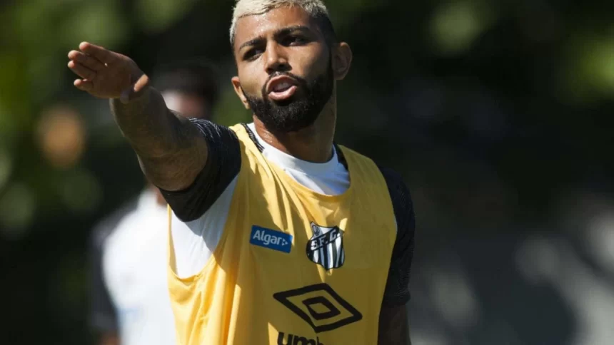 gabigol-participa-de-1o-treino-no-santos-e-exalta-o-clube-em-video:-‘e-uma-causa’