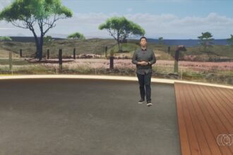 videos:-jornal-do-campo-to-deste-domingo,-4-de-janeiro-de-2026