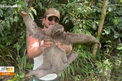 influenciador-ajuda-bicho-preguica-a-atravessar-rodovia-no-tocantins;-video