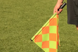 fpf-afasta-arbitro-e-auxiliar-que-confirmaram-gol-irregular-do-palmeiras