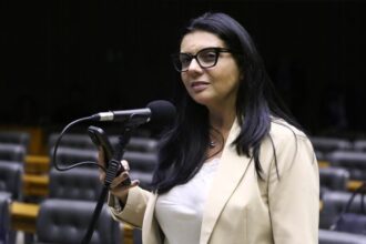 comissao-aprova-ate-4-anos-de-prisao-para-agente-publico-que-impedir-ilegalmente-acesso-de-cidadaos-a-armas