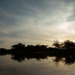 iniciativa-busca-projetos-socioambientais-no-tocantins;-cada-projeto-recebera-r$-65-mil